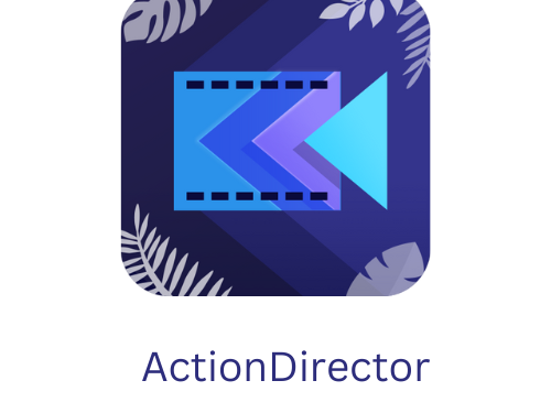 ActionDirector Main Image